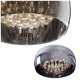 Plafon CRYSTAL srebrny 40 cm – szkło z kryształami, 5 źródeł G9