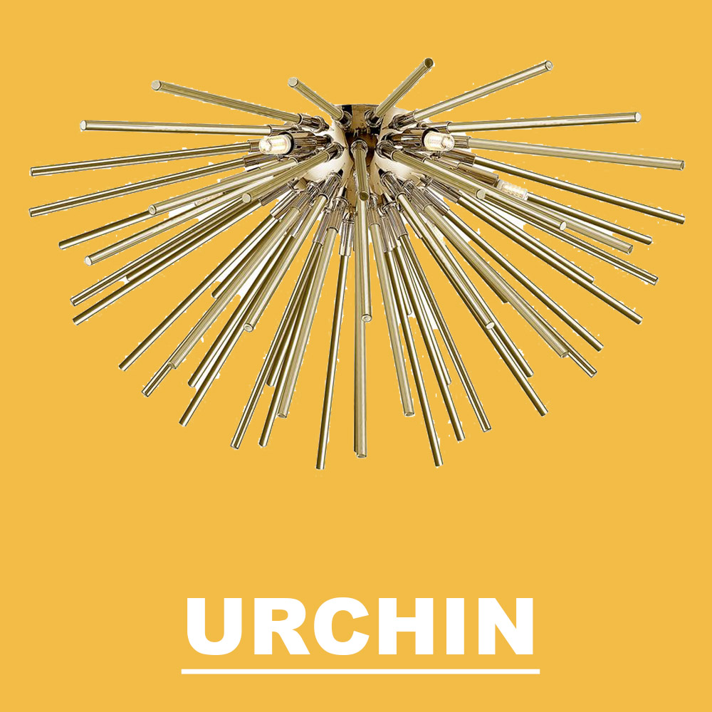 Seria Urchin